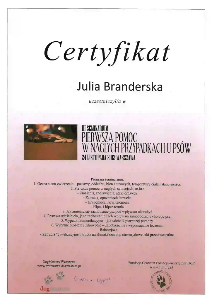 Certyfikat z kursu udzielnia Pierwszej pomocy w nagłych przypadkach dla psa