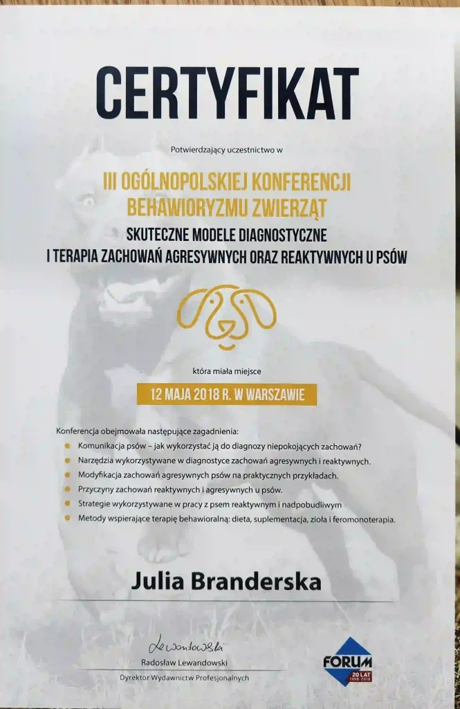 ertyfikat udziału w konferencji Skuteczne Modele Diagnostyczne w behawiorystyce
