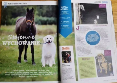 Artykuł z gazety Gallop pt. Stajenne wychowanie psa