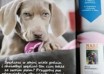 Artykuł do gazety Gallop Wychowaj psie dziecko